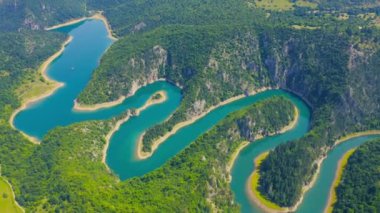Aerial view blue bendy river flowing through the forest with green grass forest with tall pine trees.