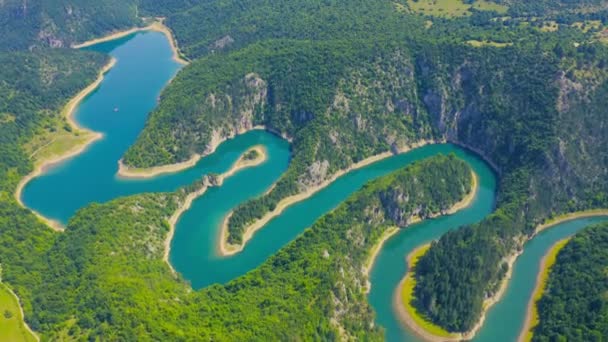 Aerial view blue bendy river flowing through the forest with green grass forest with tall pine trees. — Video Stock