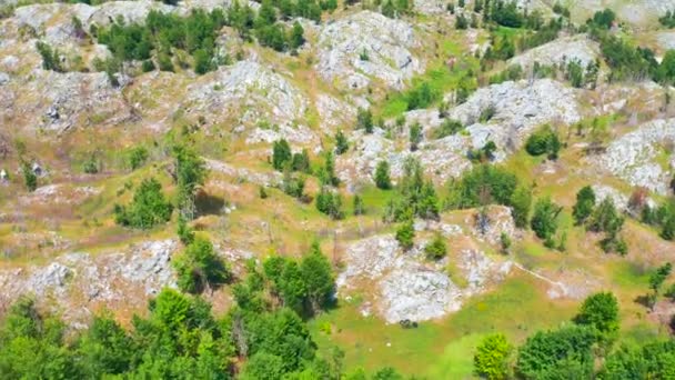 몬테네그로의 국립 공원 로벤에 푸른 나무들이 있는 바위투성이 의산 봉우리들을 공중에서 내려다본 모습. — 비디오