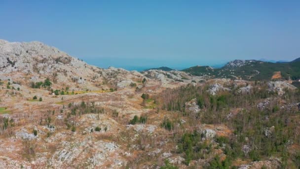 Veduta aerea delle montagne rocciose con alberi secolari nel parco nazionale Lovcen, Montenegro. — Video Stock