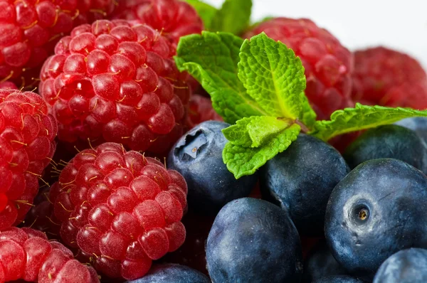 Blueberry dan rasperry dengan daun mint — Stok Foto