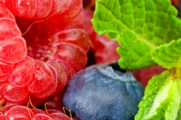Áfonya és ruspberry bogyók, mentalevél — Stock Fotó