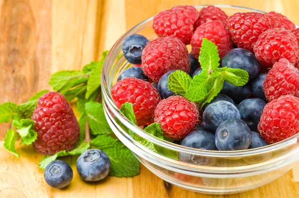 Blueberry, daun berry dan mint — Stok Foto
