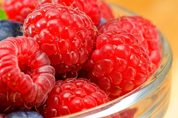 Raspberry dan blueberry — Stok Foto