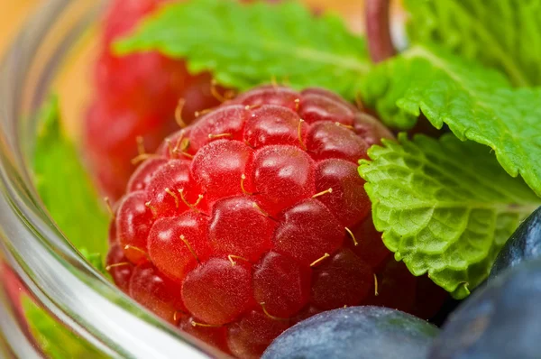 Áfonya, a ruspberry és a menta levelek — Stock Fotó