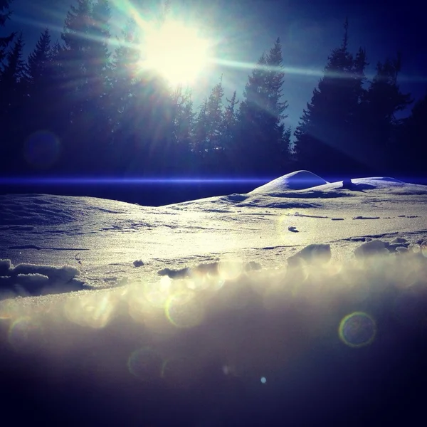 Retrato de jovens snowboarders felizes — Fotografia de Stock