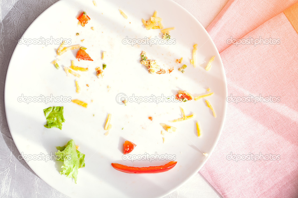 Plate with crumbs food and used fork