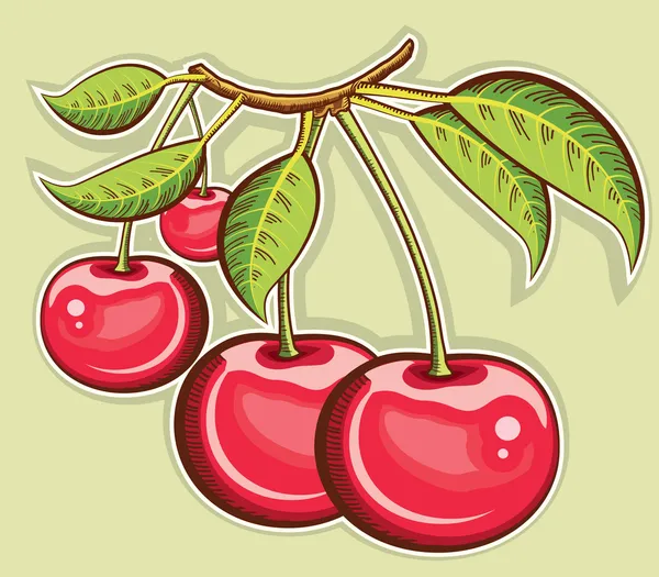 Cerezas rojas .Vector frutas aisladas para el diseño — Archivo Imágenes Vectoriales