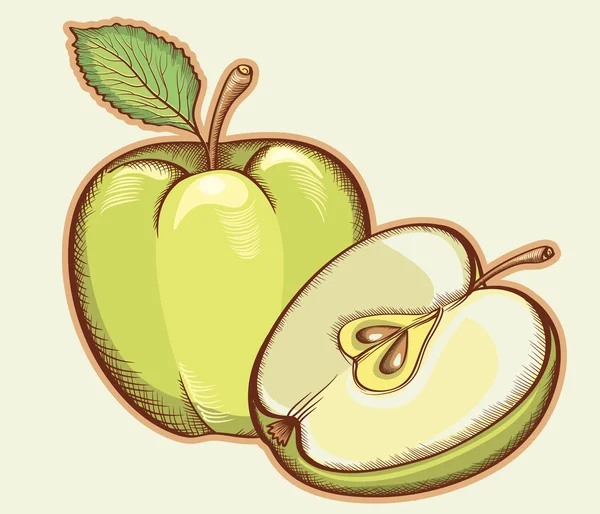 Green apples isolated for design.Vector illustration of fresh fr — Stock Vector