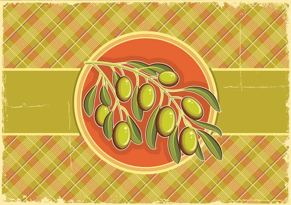 Green olives on vintage background on old paper texture — Stock Vector