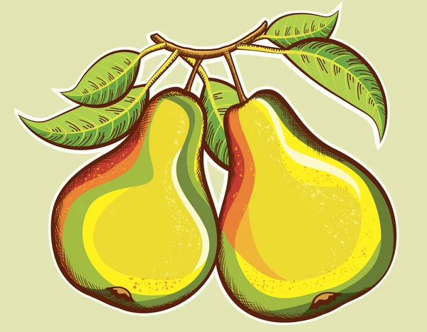 Ilustração de peras. Ilustração de frutos frescos vetoriais — Vetor de Stock