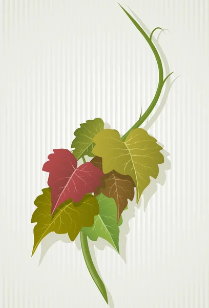 Grape leaves composition. — Stock Vector