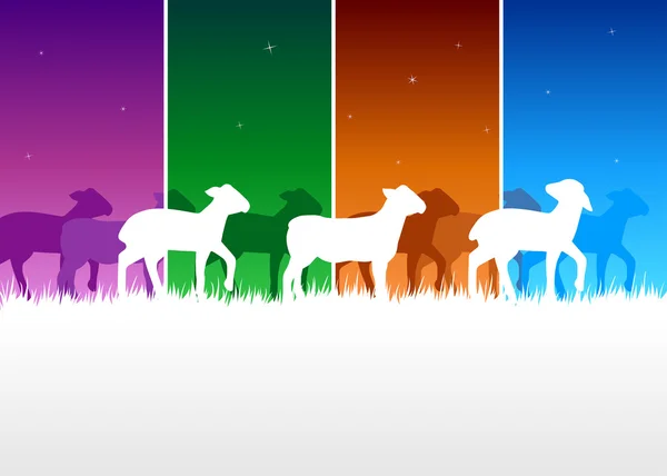 Lambs in the night — Stock Vector