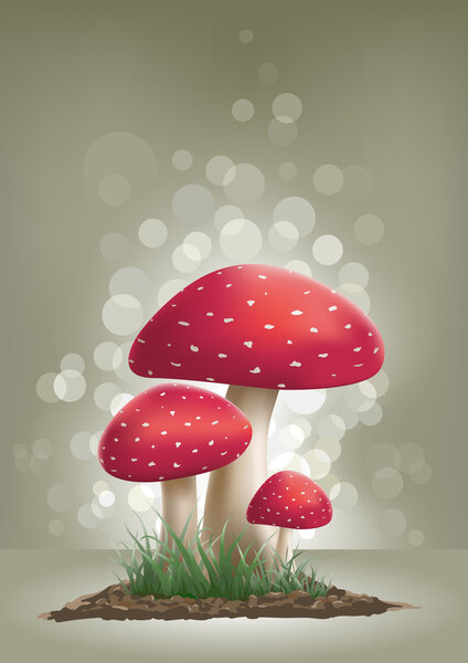 Волшебные грибы
