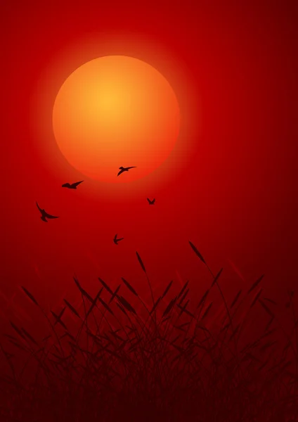 Crépuscule rouge — Image vectorielle