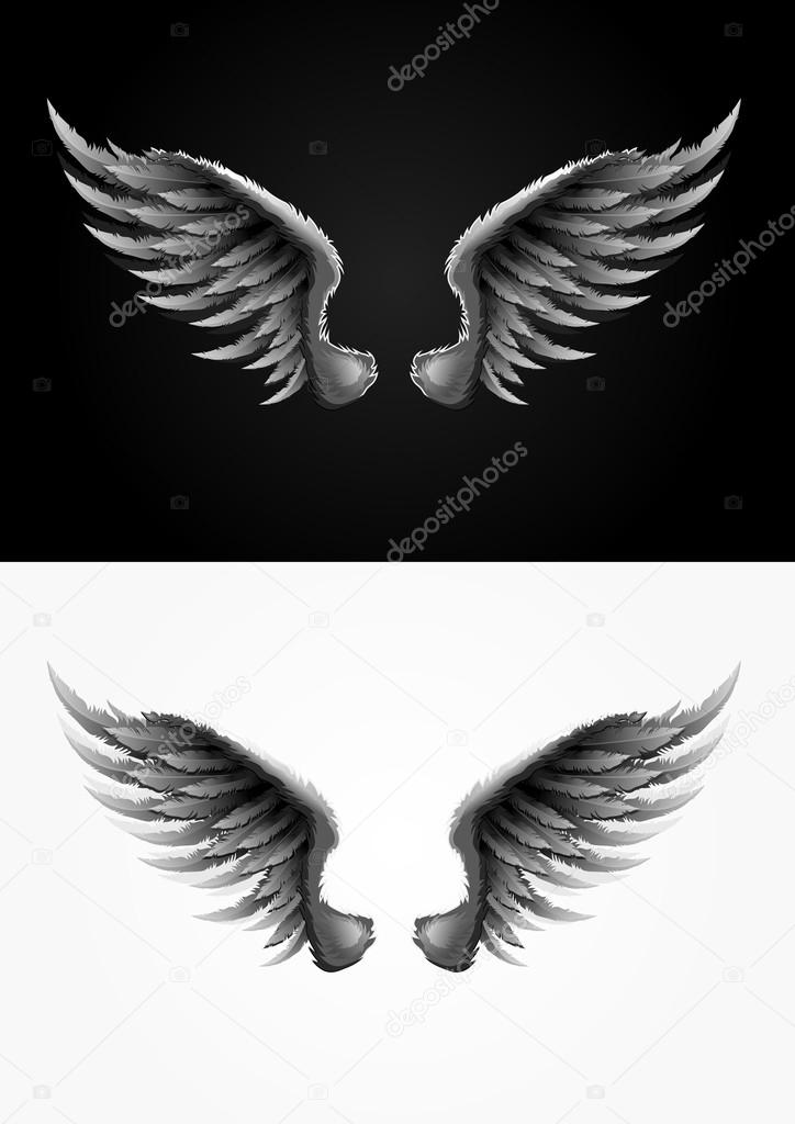 vector wings