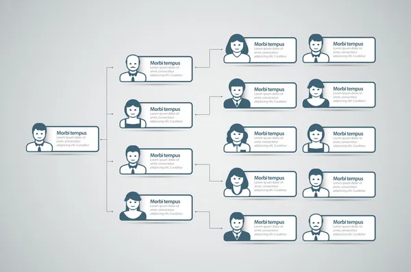 Organizační diagram — Stockový vektor