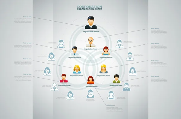 Organization Chart — Stock Vector