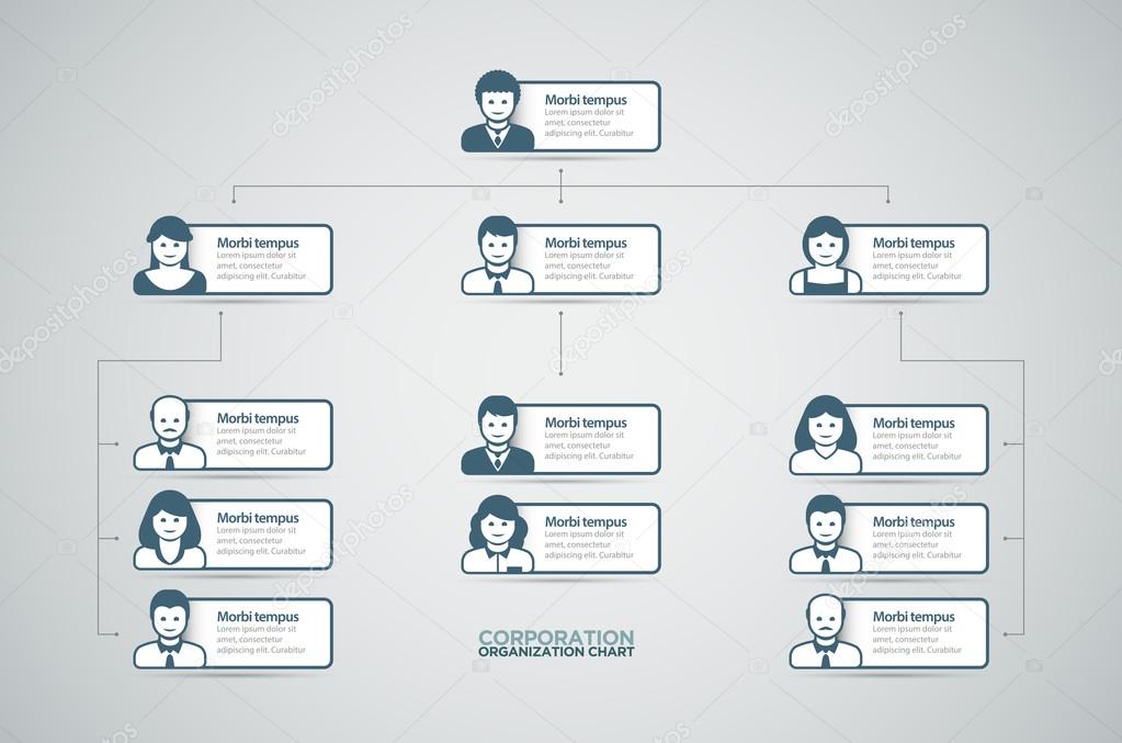 Organization Chart