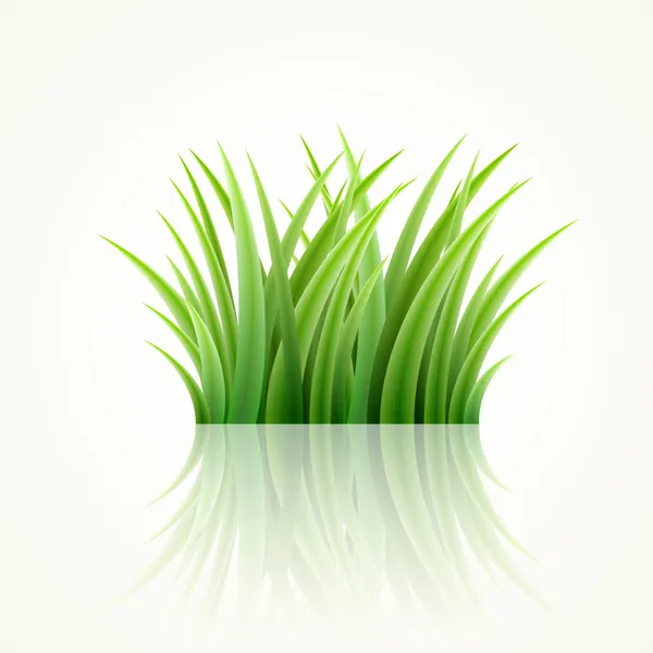 Gras — Stockvector