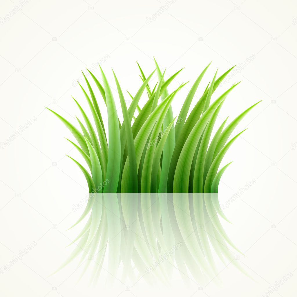 Grass