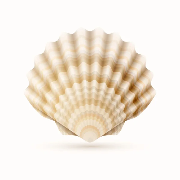 Sea shell — Stock Vector