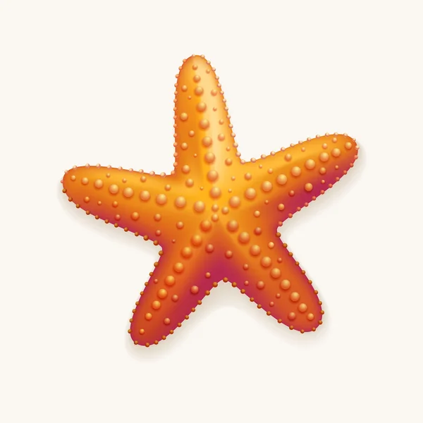 Estrella de mar — Vector de stock