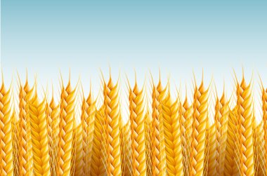 sorunsuz alan arka plan