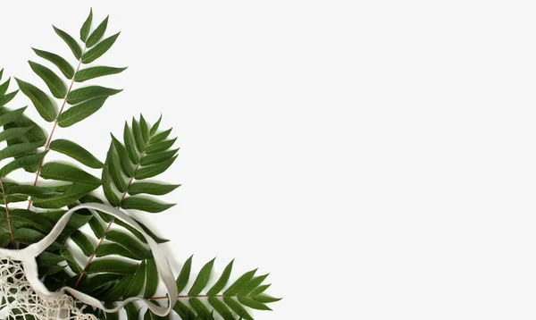 Green leaves with reusable shopping bag on white background. Zero waste concept with copy space — Stock Photo, Image