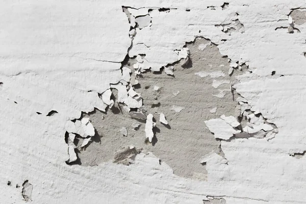 Gri boyalı gri duvar. Ağır hasarlı eski püskü gri beton duvar. kabaca yüzey dokusu