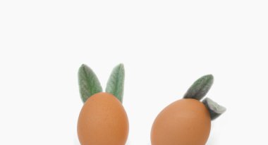 Beyaz arka planda kulakları olan paskalya yumurtaları. Paskalya konsepti.