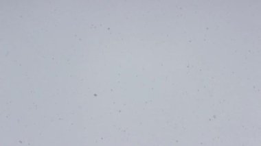 Gri gökyüzüne düşen kar taneleri. Gri gökyüzünde uçuşan kar taneleri. Kar yağışıweather condition.