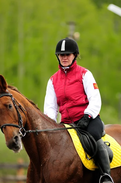 Carreras de caballos — Foto de Stock