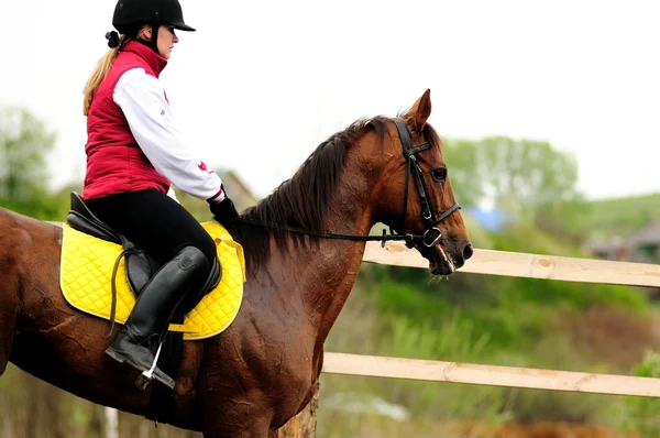 Hästkapplöpning — Stockfoto