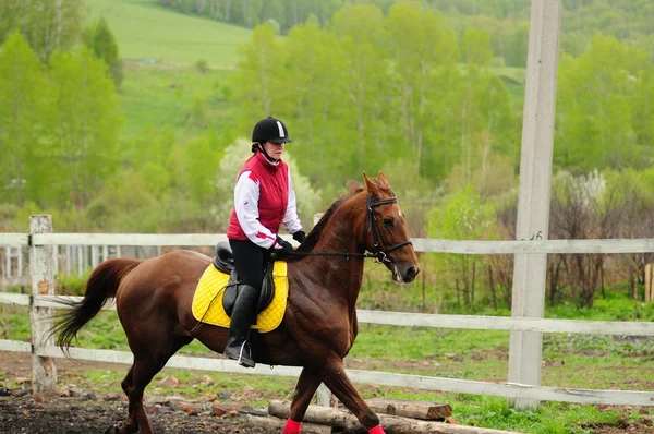 Corrida de cavalos — Fotografia de Stock