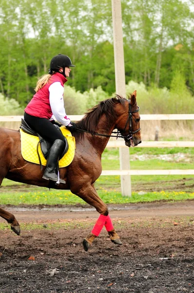 Hästkapplöpning — Stockfoto