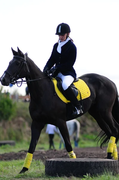 Paardenrennen — Stockfoto