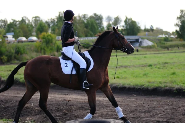 Carreras de caballos —  Fotos de Stock