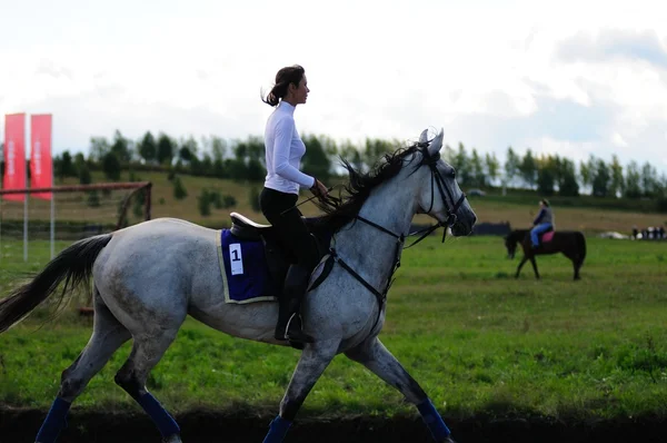 at yarışı