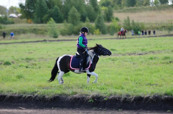 Course de chevaux — Photo