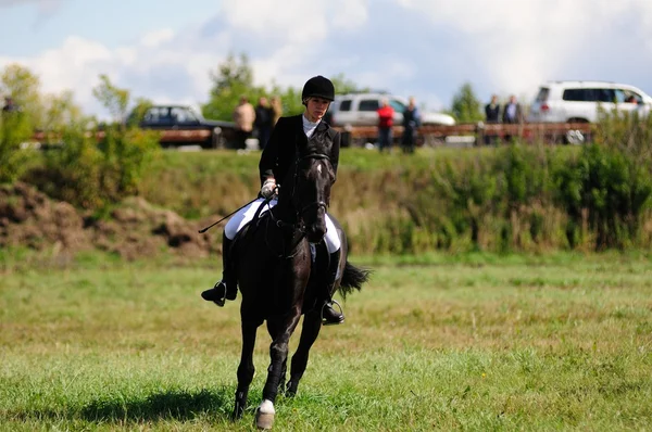 Paardenrennen — Stockfoto