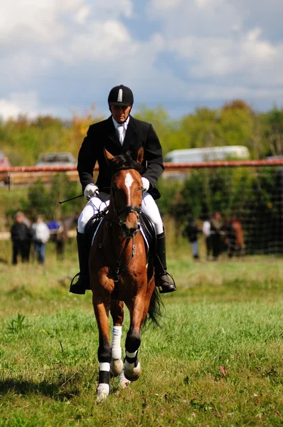 Carreras de caballos — Foto de Stock