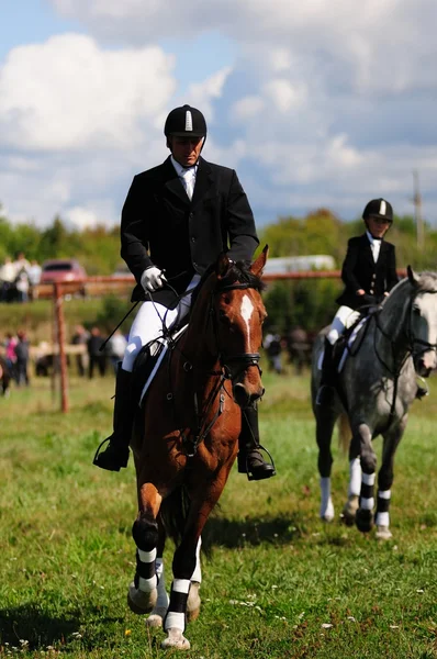 Paardenrennen — Stockfoto