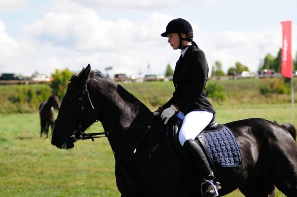 Paardenrennen — Stockfoto