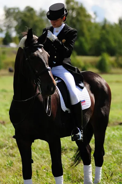 Paardenrennen — Stockfoto