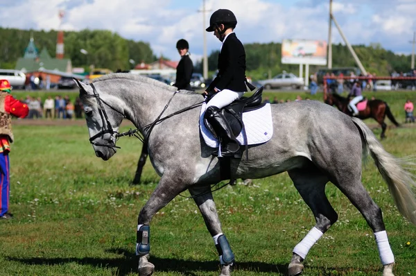 Carreras de caballos — Foto de Stock