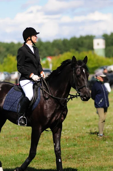 Paardenrennen — Stockfoto