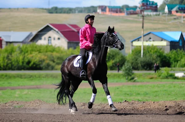 Carreras de caballos — Foto de Stock