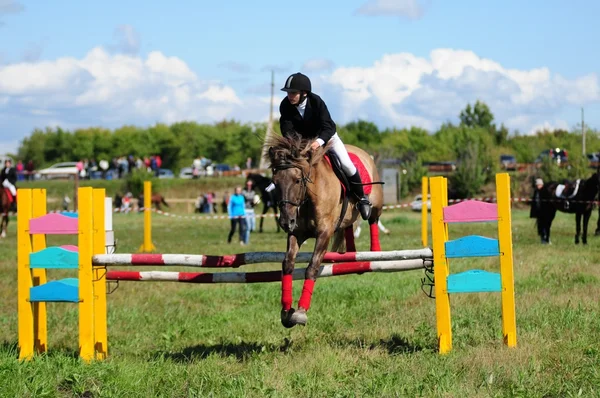 Carreras de caballos —  Fotos de Stock