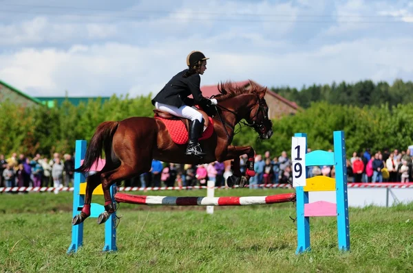 Carreras de caballos — Foto de Stock